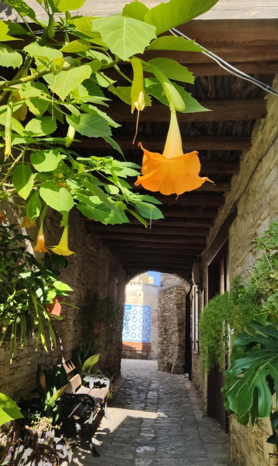 7Kamares Casa de hóspedes Pano Lefkara Exterior foto